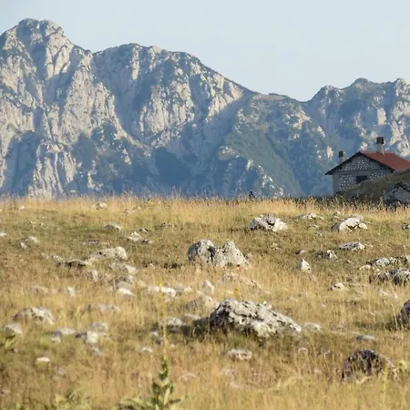 Farm stay Bio Agriturismo Valle Scannese